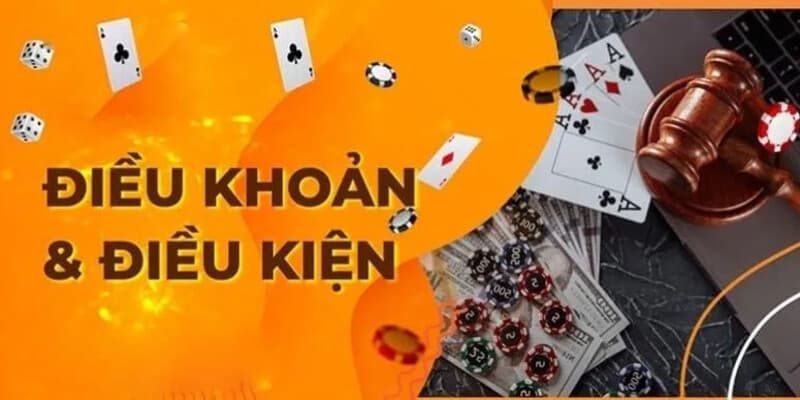 điều kiện điều khoản